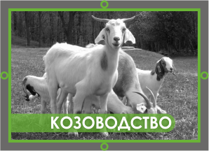 кормовое оборудование barlos для козоводства