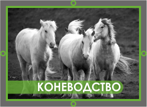 кормовое оборудование barlos для коневодства